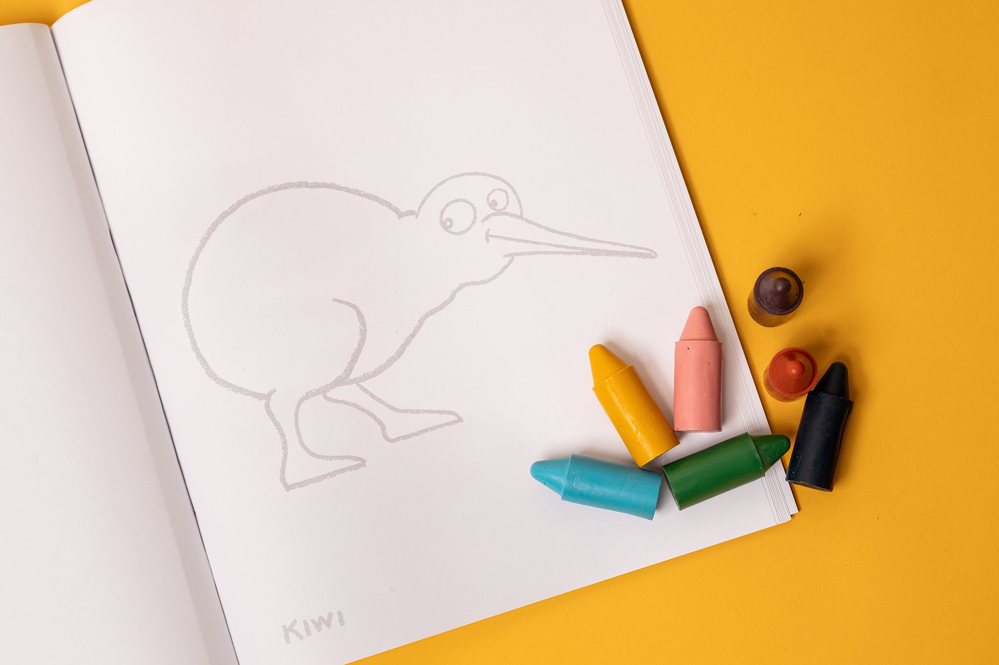 The Creative Kid Colouring Set | Endangered Animals Adventure