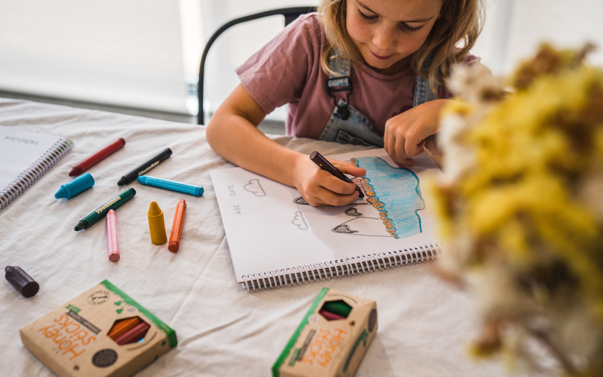 Why You Should Choose Beeswax Crayons For Your Child