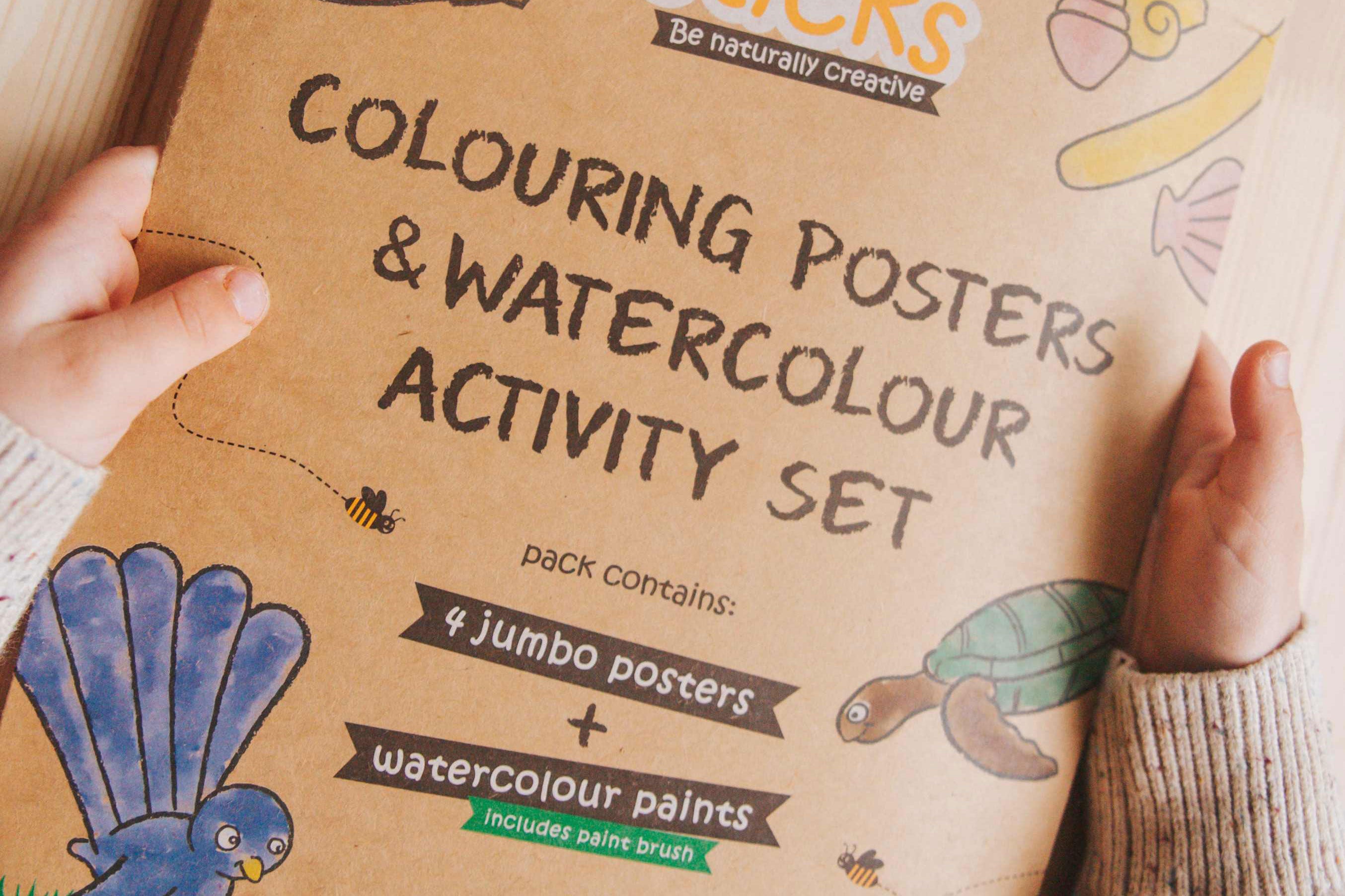 Jumbo Posters and Watercolour Paints Activity Set